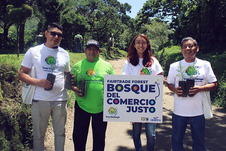 CLAC_TreeChallenge_Historias_post_ES_BosqueCerroVerde_770x514_S2