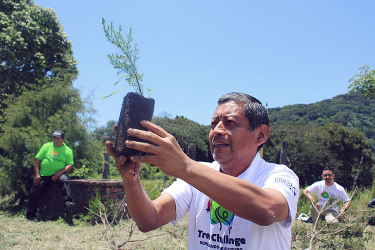 CLAC_TreeChallenge_Historias_post_ES_BosqueCerroVerde_770x514_S3