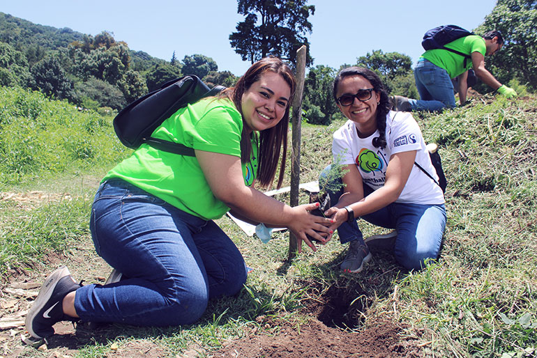 CLAC_TreeChallenge_Historias_post_ES_BosqueCerroVerde_770x514_S6